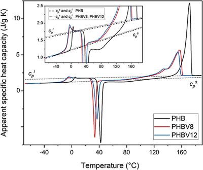 Constrained Amorphous Interphase and Mechanical Properties of Poly(3-Hydroxybutyrate-co-3-Hydroxyvalerate)